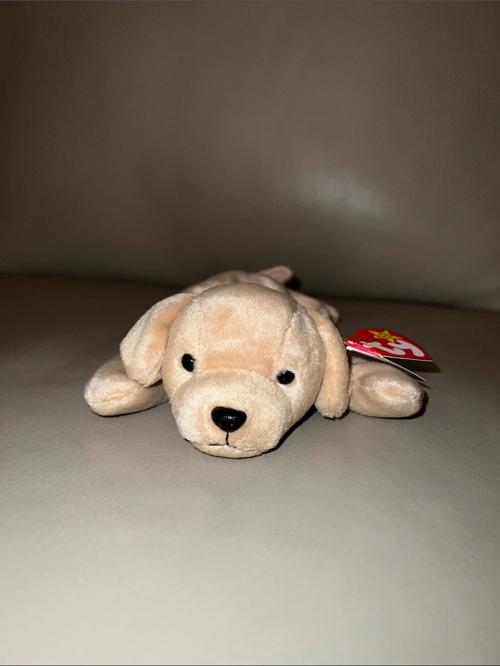 Fetch the Dog Beanie Baby Plush